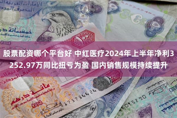 股票配资哪个平台好 中红医疗2024年上半年净利3252.97万同比扭亏为盈 国内销售规模持续提升