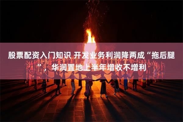 股票配资入门知识 开发业务利润降两成“拖后腿”，华润置地上半年增收不增利