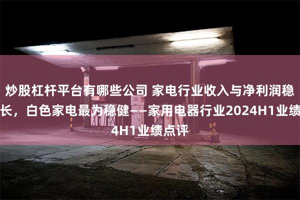 炒股杠杆平台有哪些公司 家电行业收入与净利润稳步增长，白色家电最为稳健——家用电器行业2024H1业绩点评