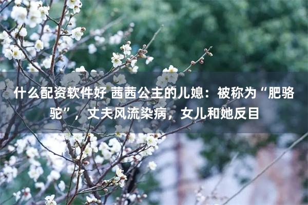 什么配资软件好 茜茜公主的儿媳：被称为“肥骆驼”，丈夫风流染病，女儿和她反目