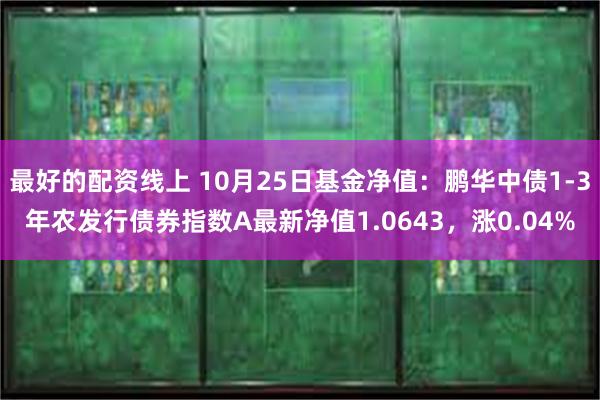 最好的配资线上 10月25日基金净值：鹏华中债1-3年农发行债券指数A最新净值1.0643，涨0.04%