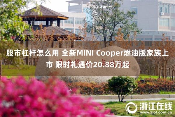 股市杠杆怎么用 全新MINI Cooper燃油版家族上市 限时礼遇价20.88万起