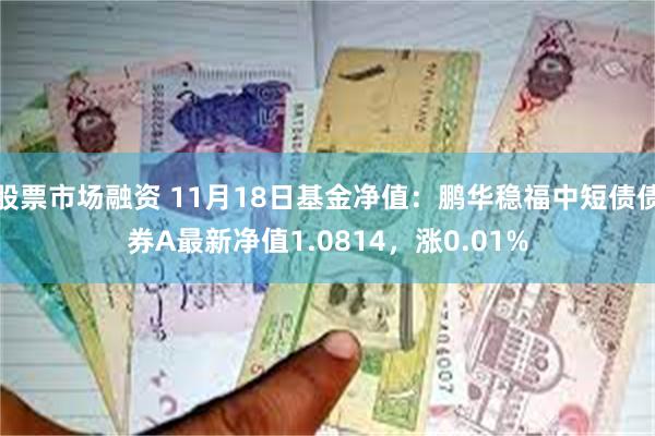 股票市场融资 11月18日基金净值：鹏华稳福中短债债券A最新净值1.0814，涨0.01%