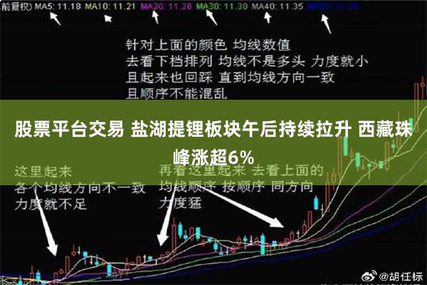 股票平台交易 盐湖提锂板块午后持续拉升 西藏珠峰涨超6%