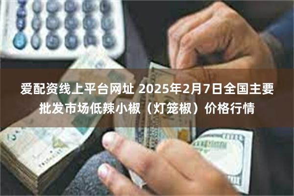 爱配资线上平台网址 2025年2月7日全国主要批发市场低辣小椒（灯笼椒）价格行情