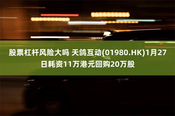 股票杠杆风险大吗 天鸽互动(01980.HK)1月27日耗资11万港元回购20万股